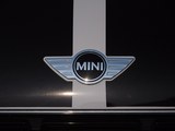 MINI COUNTRYMAN 2015款  1.6T COOPER S All 4 进藏限量版_高清图8