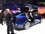 Model X 2016款  MODEL X 90D_高清图10