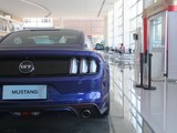 Mustang 2016款  5.0L GT性能版_高清图24