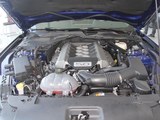 Mustang 2016款  5.0L GT性能版_高清图18