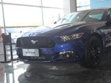 Mustang 2016款  5.0L GT性能版_高清图10