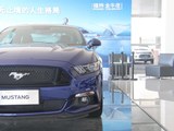 Mustang 2016款  5.0L GT性能版_高清图8