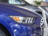 Mustang 2016款  5.0L GT性能版_高清图4