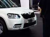 Yeti 2017款  280TSI DSG车享兄弟版_高清图15