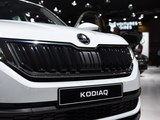 Kodiaq 2017款 kodiaq 基本型_高清图1