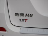 哈弗H6 2017款  蓝标 运动版 1.5T 自动两驱豪华型_高清图26