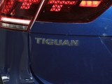 Tiguan 2017款  280TSI 两驱精英型_高清图34