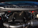 福特F-150 2017款 福特F150 3.5T 白金精英版墨版_高清图31