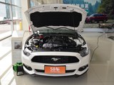 Mustang 2017款  2.3T 性能版_高清图18