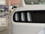 Mustang 2017款  2.3T 性能版_高清图3