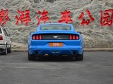 Mustang 2017款  2.3T 性能版_高清图14