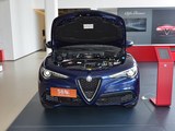 Stelvio 2017款  2.0T 200HP 精英版_高清图21