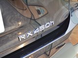 雷克萨斯RX 2017款  450h Mark Levinson 四驱豪华版_高清图26