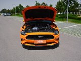 Mustang 2018款  2.3L EcoBoost_高清图34