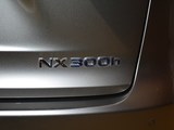 雷克萨斯NX 2017款  300 前驱 锋行版_高清图20