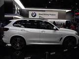 宝马X5（进口） 2019款 宝马X5 xDrive40i 尊享型 M运动套装_高清图18