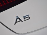 奥迪A5 2019款  Sportback 45 TFSI 时尚型_高清图15