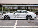 奔驰CLS级 2020款  CLS 300 豪华型_高清图8