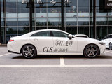 奔驰CLS级 2020款  CLS 300 豪华型_高清图6