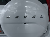 哈弗H9 2020款  2.0T 汽油四驱尊享型 5座_高清图13