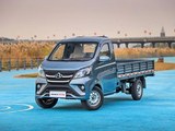 长安星卡 2020款  1.5L标准型双排货车DAM15R1_高清图25