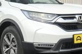 奔腾T33 2019款  1.6L 手动豪华型 国V_高清图5