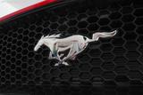 Mustang 2019款  5.0L V8 GT_高清图20