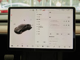 Model 3 2021款  Performance高性能全轮驱动版 3D3/3D6_高清图26