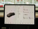 Model 3 2021款  Performance高性能全轮驱动版 3D3/3D6_高清图25