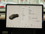 Model 3 2021款  Performance高性能全轮驱动版 3D3/3D6_高清图24