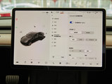 Model 3 2021款  Performance高性能全轮驱动版 3D3/3D6_高清图23