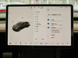 Model 3 2021款  Performance高性能全轮驱动版 3D3/3D6_高清图22