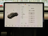 Model 3 2021款  Performance高性能全轮驱动版 3D3/3D6_高清图21