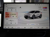 AION V 2021款  PLUS 80 智享科技版 三元锂_高清图19