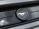 Mustang 2021款  2.3T EcoBoost_高清图16