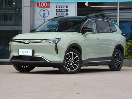 2021款 威马W6 520km PRO全能版