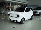 熊猫mini 2023款  200km 灵动熊_高清图33