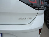 T-ROC探歌 2023款  300TSI DSG两驱星光版_高清图9