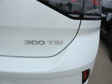 T-ROC探歌 2023款  300TSI DSG两驱星光版_高清图1