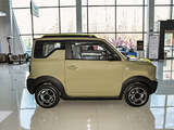 熊猫mini 2024款  200km 熊猫骑士_高清图33