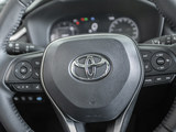 RAV4荣放 2023款  2.0L CVT两驱20周年铂金纪念版_高清图11