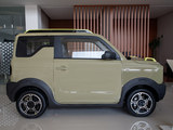 熊猫mini 2024款  200km 熊猫骑士_高清图22