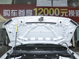 途岳 2024款  300TSI 两驱满月版_高清图6