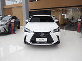 雷克萨斯NX 2025款  260 前驱 十周年特别限量版_高清图2