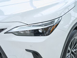 雷克萨斯NX 2025款  350h JOY X_高清图26