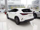 雷克萨斯NX 2025款  260 前驱 十周年特别限量版_高清图12