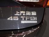奥迪A7L 2024款  45 TFSI quattro 奢享型_高清图15