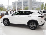 雷克萨斯NX 2025款  260 前驱 十周年特别限量版_高清图5
