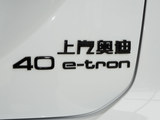 奥迪Q5 e-tron 2023款  40 e-tron 闪耀型 机甲套装_高清图14