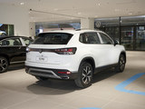 探岳 2025款  众享款 330TSI_高清图6